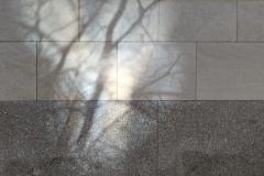 Reflection and Shadow to Ms. Sysko of Newry, Maine (014)