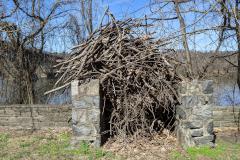 Branches in Old Stairs to Ms. Antzac and Mr. Deeds of Jaroszowa, Poland (059)