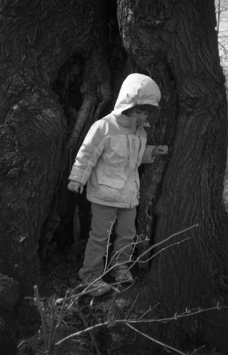 antje in a tree