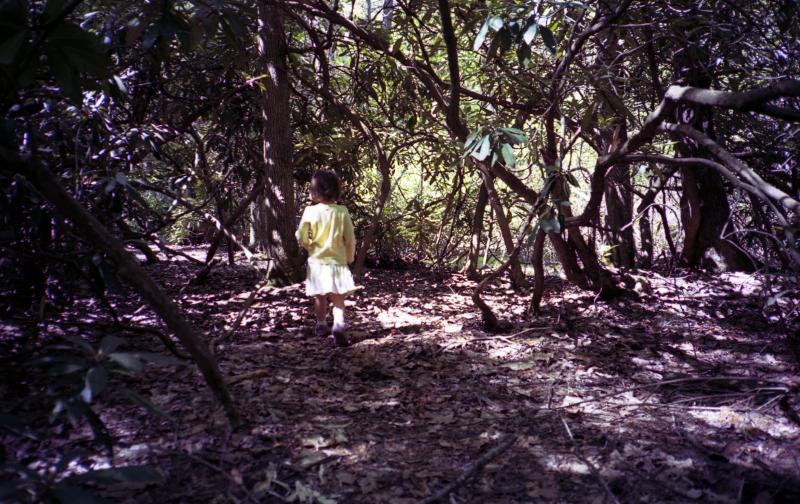 antje in the trees