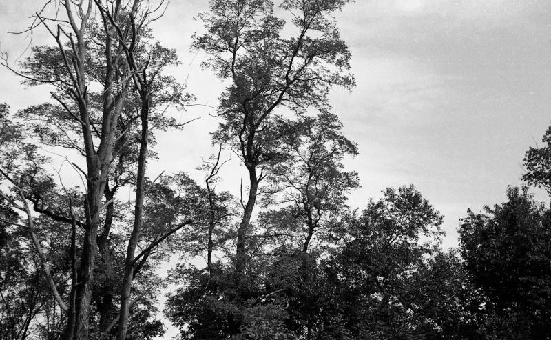 bw-iloca-011