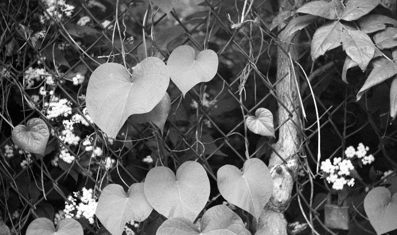 bw-iloca-021