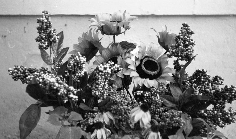 bw-iloca-022