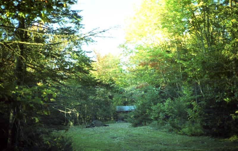 cedar camp