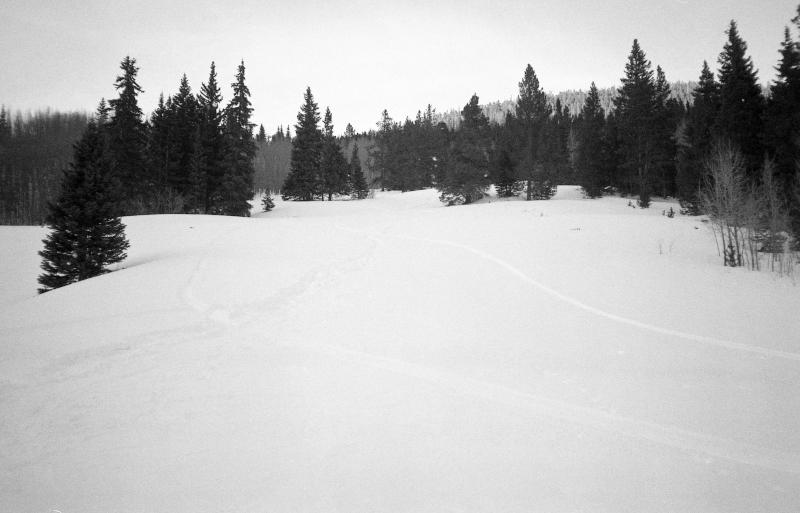 colorado-snow