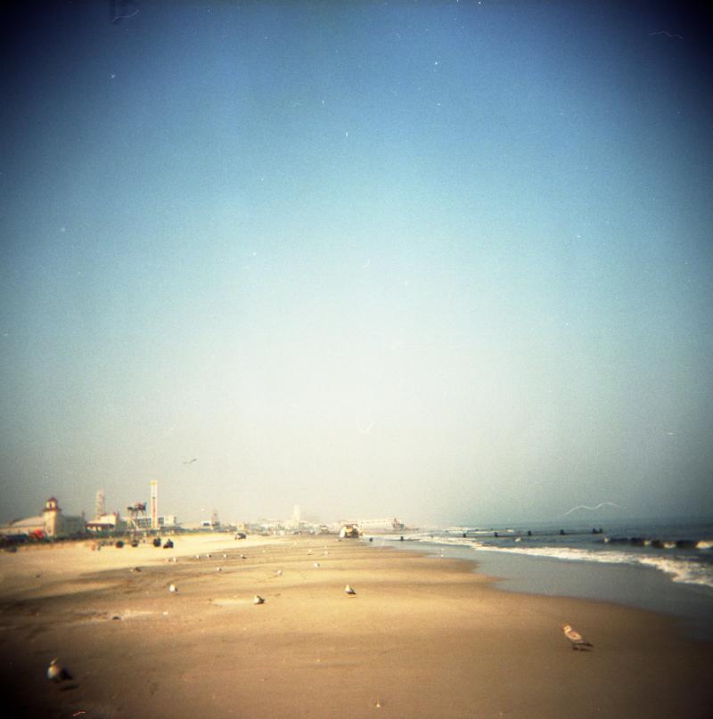 empty beach except for seagulls