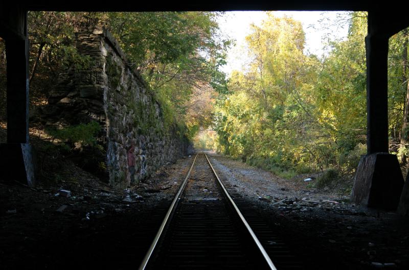 fall tunnel