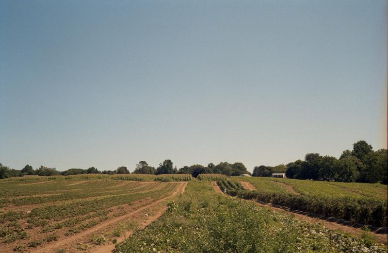 Field