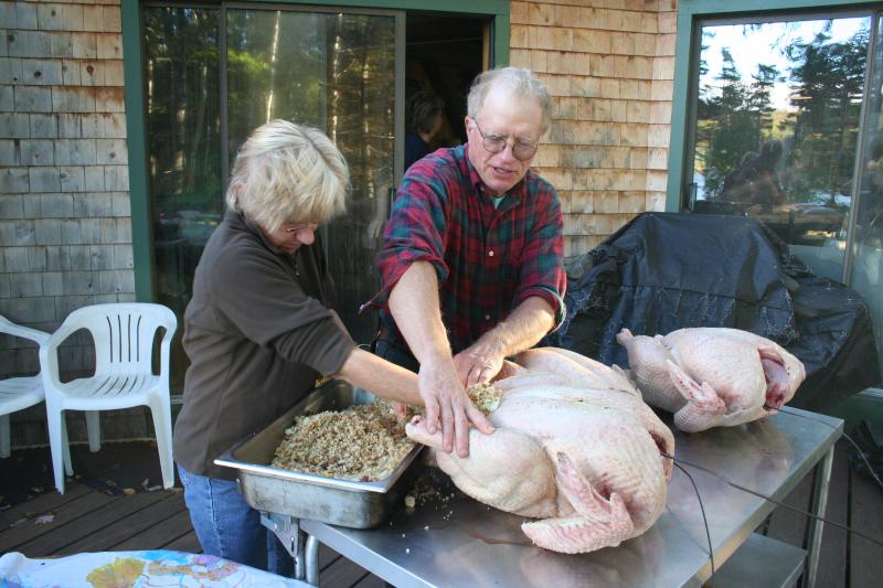 Five Turkeys