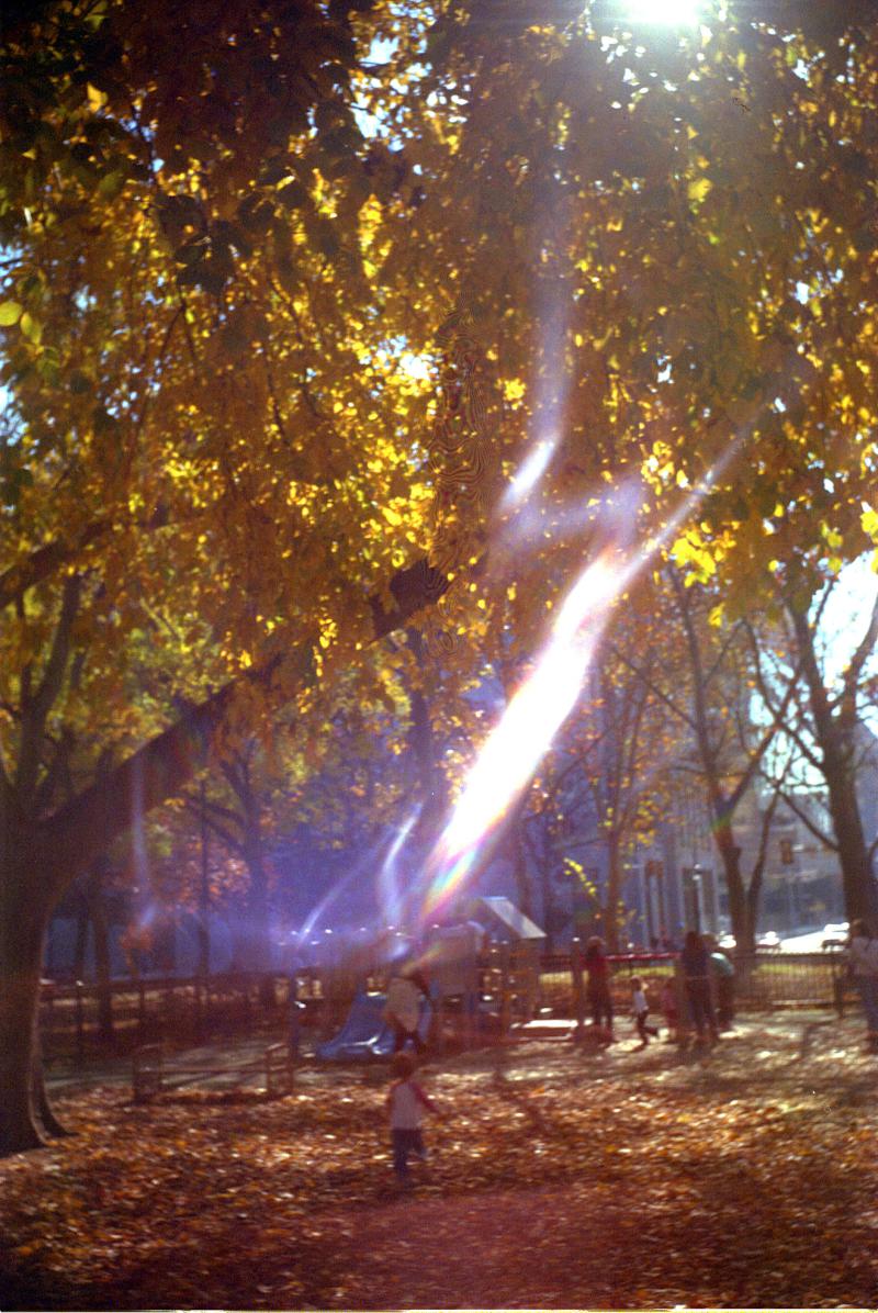 franklin square flare antje