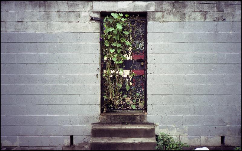 gate
