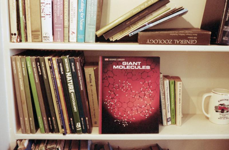 giant molecules