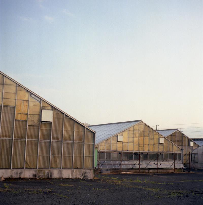 greenhouse i