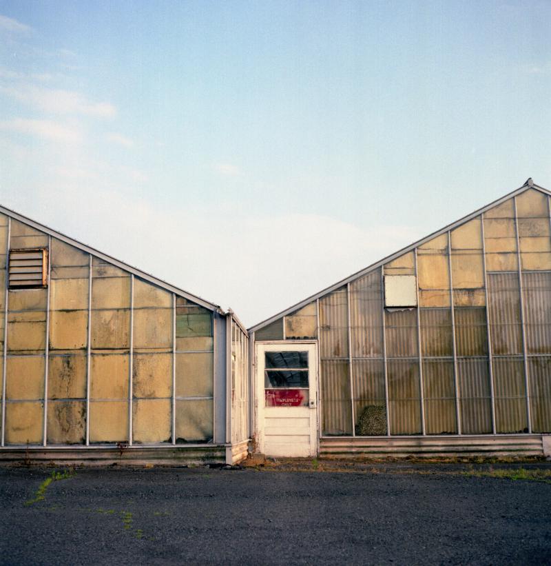 greenhouse ii