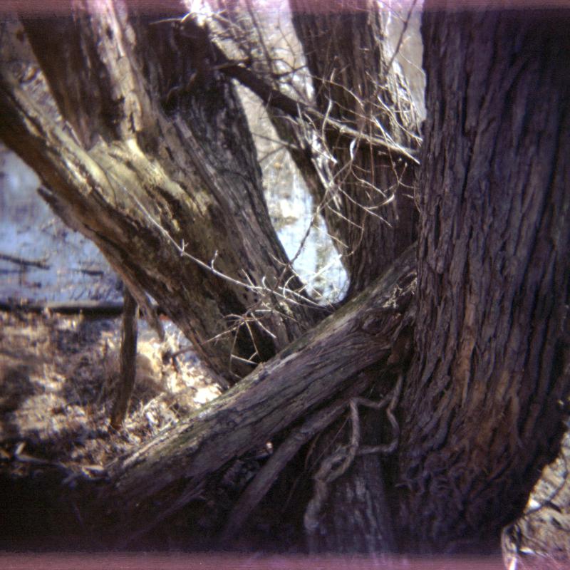 holga-heinz-284