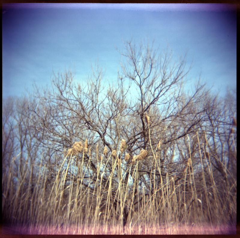 holga-heinz-286