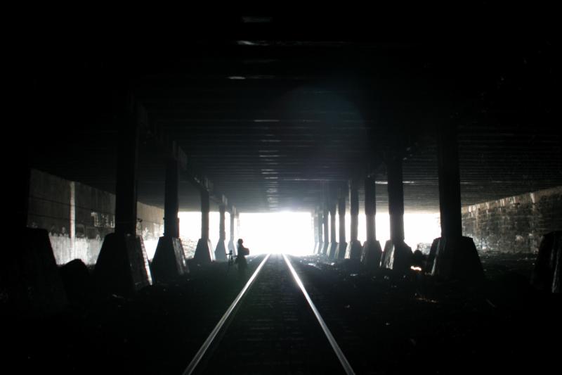 Into the Light