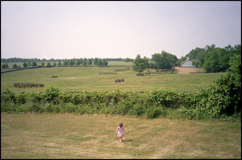 kentucky fields