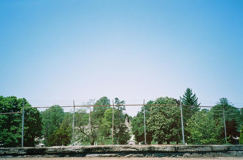 Laurel Hill Fence