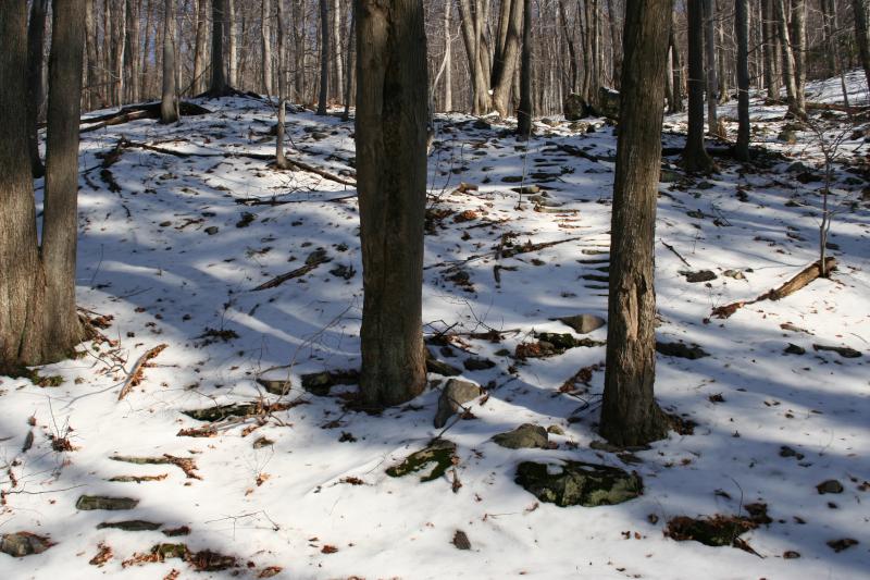 Old Steps in the Snow