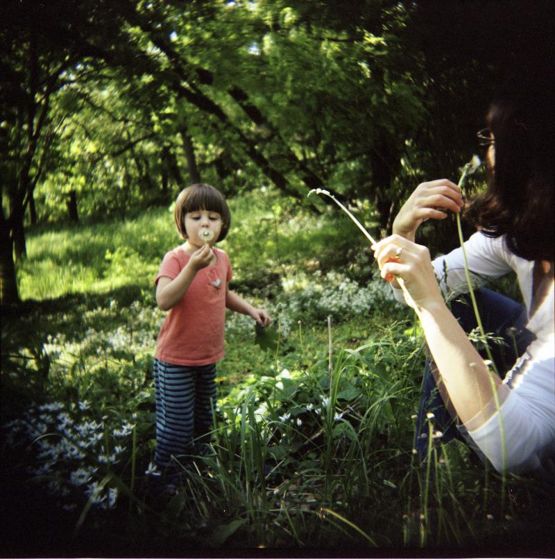 picking-flowers