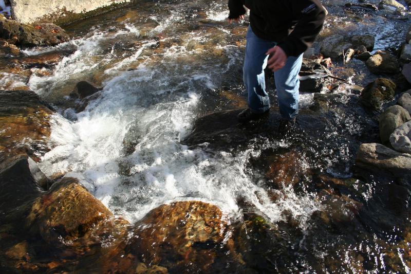 Ponte in the Water