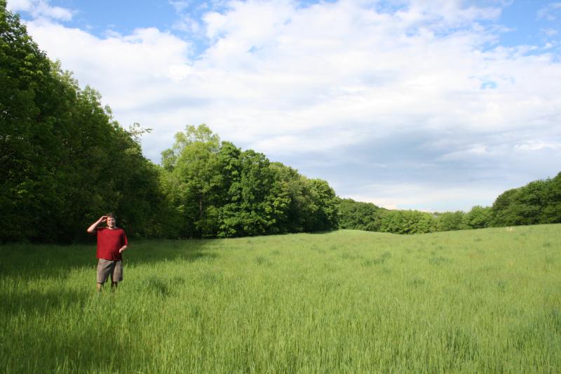 Ponte Natural Habitat