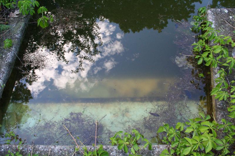 Pool Reflection