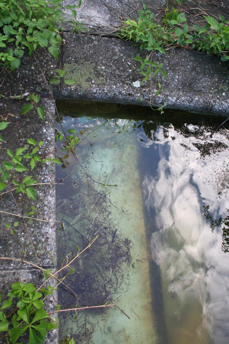 Pool Steps