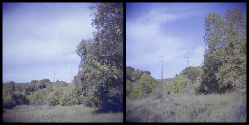 powerline-diptych