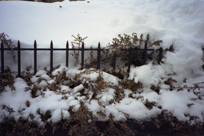 snow-fence