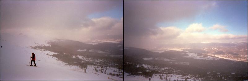 snowy-diptych