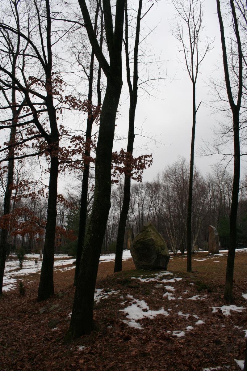 Stones and Trees