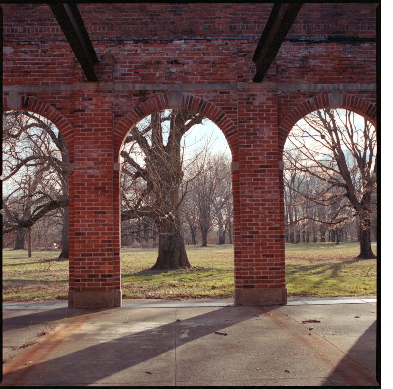 Strawberry Mansion Ruin