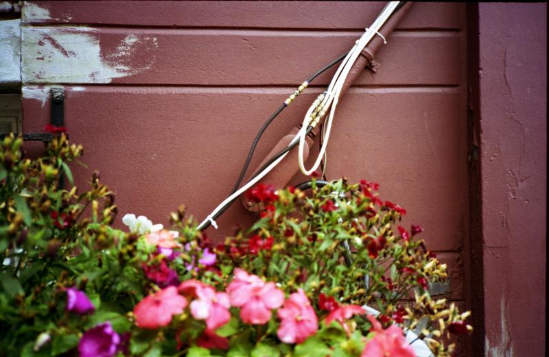 Wire  Flowers