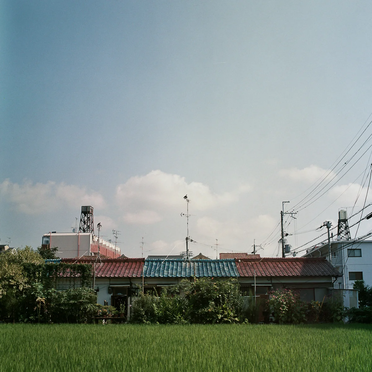 149186110673_0.jpg