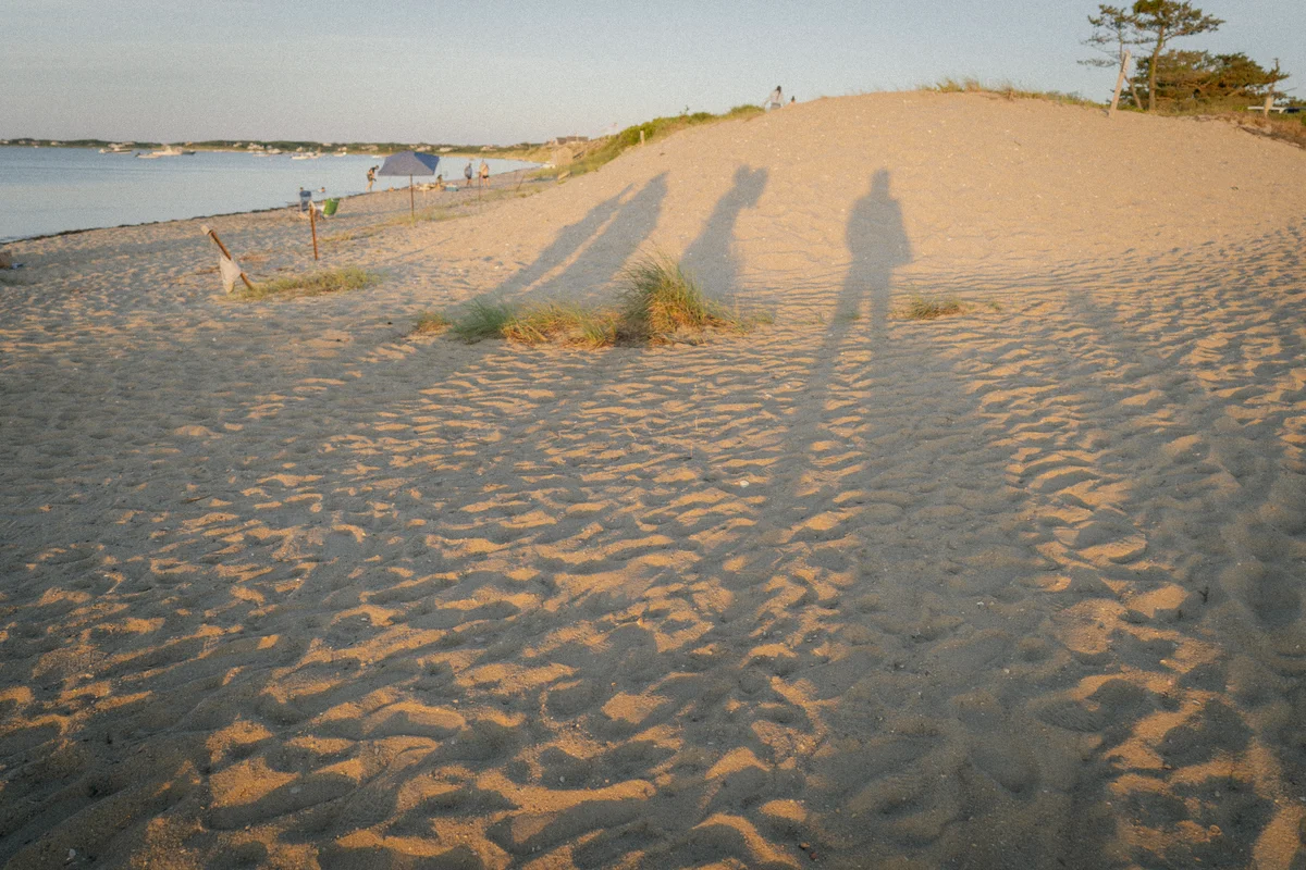 DSC01964.jpg