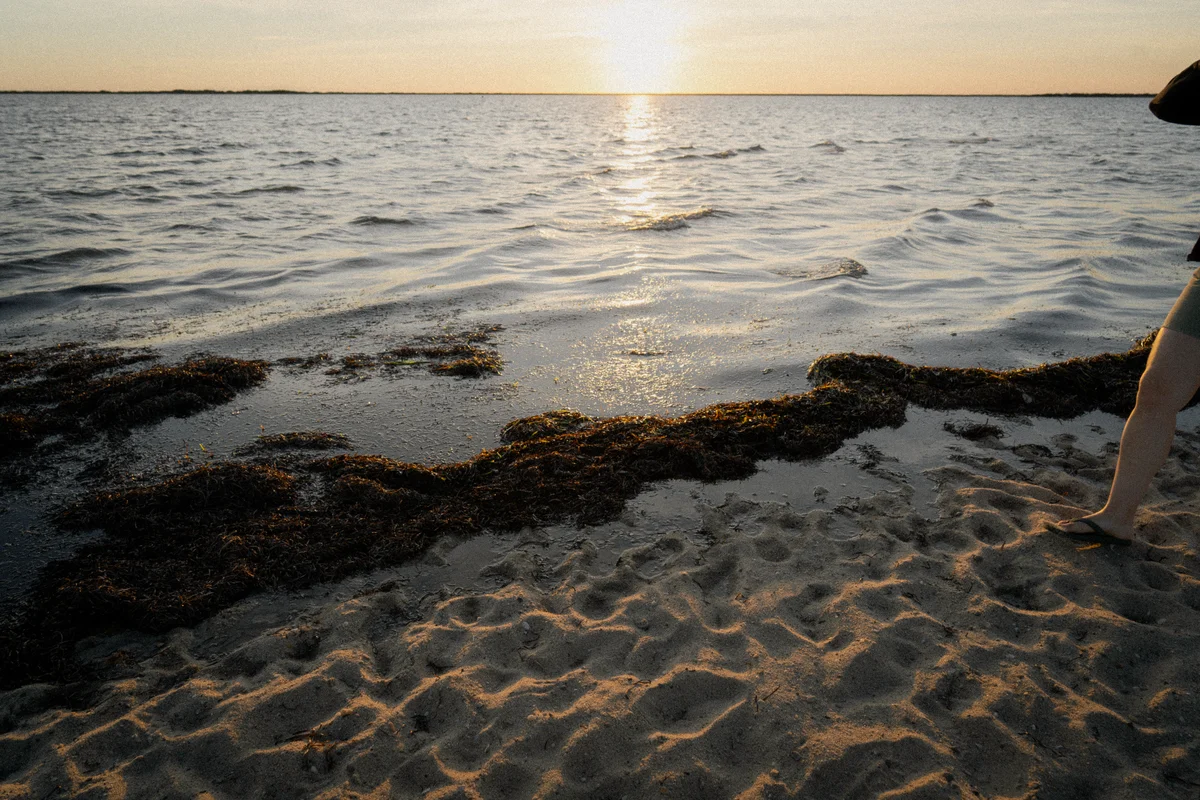 DSC01968.jpg