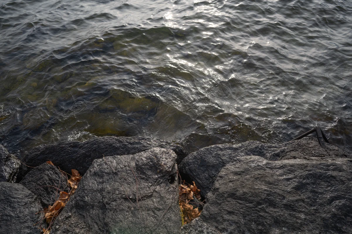 DSC02987.jpg