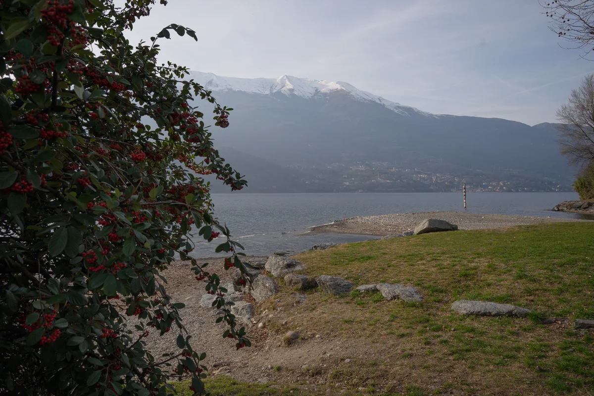 DSC02989.jpg