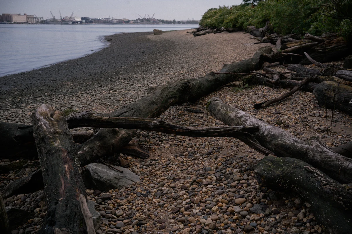 DSC03722.jpg