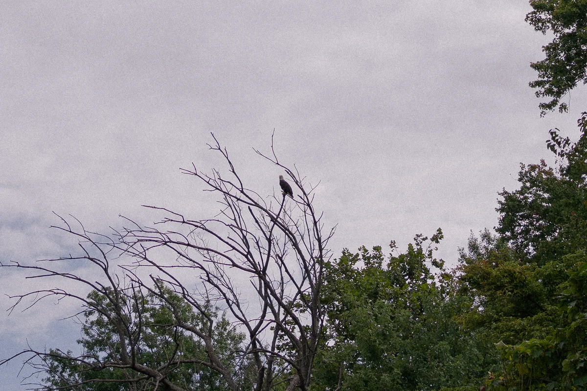 DSC03750.jpg
