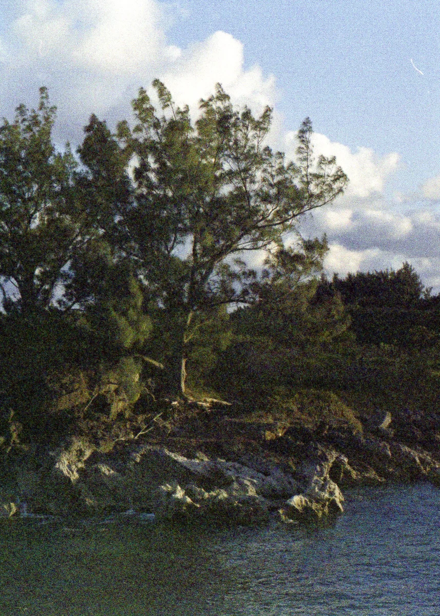 penft-153.jpg