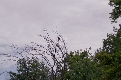 DSC03750.jpg